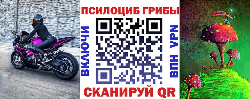 купить  сайты  Лесосибирск  Псилоцибиновые грибы GOLDEN TEACHER 